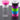 A video of installing vial caps on a vial, showing multiple colors pink, clear, black, purple, green, blue and pink.